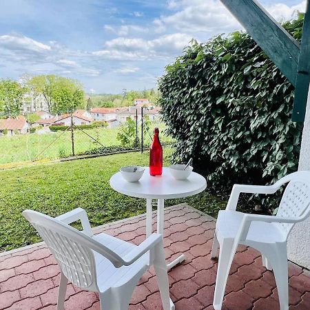 Studio Eglantine A Cambo-Les-Bains, Proche Thermes, Terrasse, Parking, Acces Internet, Animaux Ok - Fr-1-495-106 Exterior photo